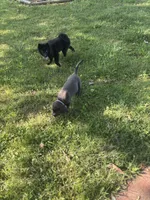 processed/fd75ddf9-2e58-4881-9309-0c3a5947a0b6/listing/13f8b1a1-85d1-42d7-ac2f-54553a68ea6d/85f17b67-270b-43e0-bd64-cbec0fc8a38c