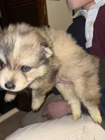 processed/fd75ddf9-2e58-4881-9309-0c3a5947a0b6/listing/13f8b1a1-85d1-42d7-ac2f-54553a68ea6d/b1058ab2-b80b-4514-a381-e546a0d021dc