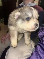 processed/fd75ddf9-2e58-4881-9309-0c3a5947a0b6/listing/13f8b1a1-85d1-42d7-ac2f-54553a68ea6d/ed6af6b8-c9fd-43e7-bd74-0ca24273a243