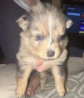 processed/fd75ddf9-2e58-4881-9309-0c3a5947a0b6/listing/433ef763-4a5e-4285-8658-013205f20ac7/c062a874-99b2-4bc5-a6e4-8e5aba88f93a