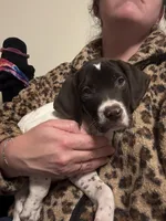 processed/fd75ddf9-2e58-4881-9309-0c3a5947a0b6/listing/6c9954ff-8368-4986-9627-0879f779b49d/31a70fcd-1d50-4ca7-89de-bdb2aba68e67