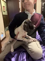 processed/fd75ddf9-2e58-4881-9309-0c3a5947a0b6/listing/6c9954ff-8368-4986-9627-0879f779b49d/4826f206-02d9-4c5a-8374-ed8cbc432ae7