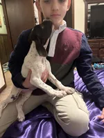 processed/fd75ddf9-2e58-4881-9309-0c3a5947a0b6/listing/6c9954ff-8368-4986-9627-0879f779b49d/a10aab1f-0ddb-48e8-bec6-cadbc8daafcf