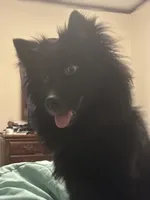 processed/fd75ddf9-2e58-4881-9309-0c3a5947a0b6/listing/ae227c46-1533-436b-bc4b-fea374a16026/1241d887-257d-4a2c-a6dc-dcbb621f9101