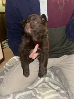 processed/fd75ddf9-2e58-4881-9309-0c3a5947a0b6/listing/ae227c46-1533-436b-bc4b-fea374a16026/4c612656-a5ee-44d0-a3bd-69946fb9e59b