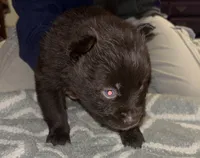 processed/fd75ddf9-2e58-4881-9309-0c3a5947a0b6/listing/ae227c46-1533-436b-bc4b-fea374a16026/4f5b83e1-2295-4ff5-b4fc-0b3f3c369dd7