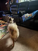 processed/fd75ddf9-2e58-4881-9309-0c3a5947a0b6/listing/ae227c46-1533-436b-bc4b-fea374a16026/6e6fbfcb-4956-45cc-b8d1-2aba67148e68