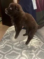 processed/fd75ddf9-2e58-4881-9309-0c3a5947a0b6/listing/ae227c46-1533-436b-bc4b-fea374a16026/acdc714f-a3f0-4e83-b265-ecf9761e1af8