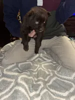 processed/fd75ddf9-2e58-4881-9309-0c3a5947a0b6/listing/ae227c46-1533-436b-bc4b-fea374a16026/c1f34354-056f-4c50-a617-581f703dbd91