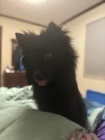 processed/fd75ddf9-2e58-4881-9309-0c3a5947a0b6/listing/bf97a670-1b9e-4e65-864d-a7f3b5fc6b4a/55bb4b35-663f-44ce-88a8-d113f585e009