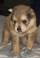 processed/fd75ddf9-2e58-4881-9309-0c3a5947a0b6/listing/bf97a670-1b9e-4e65-864d-a7f3b5fc6b4a/826fff1a-d032-4a94-83da-3eb358d16e58