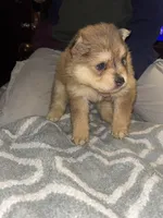 processed/fd75ddf9-2e58-4881-9309-0c3a5947a0b6/listing/bf97a670-1b9e-4e65-864d-a7f3b5fc6b4a/a2d208ec-c205-407d-94c2-f82c17e5f361