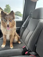 processed/fd75ddf9-2e58-4881-9309-0c3a5947a0b6/listing/bf97a670-1b9e-4e65-864d-a7f3b5fc6b4a/e88c3189-f166-471e-8982-78f2ca437abb