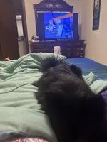 processed/fd75ddf9-2e58-4881-9309-0c3a5947a0b6/listing/bf97a670-1b9e-4e65-864d-a7f3b5fc6b4a/fbe4a94d-9667-45a8-baaa-2586ed04b59e