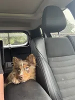 processed/fd75ddf9-2e58-4881-9309-0c3a5947a0b6/listing/bf97a670-1b9e-4e65-864d-a7f3b5fc6b4a/ffc37a05-105f-4f60-a480-18100c8356f2