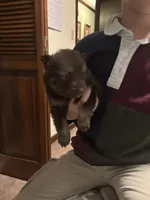 processed/fd75ddf9-2e58-4881-9309-0c3a5947a0b6/listing/f5dbff10-b764-4524-866c-4108d8a4f52c/741440ab-9bf1-4de1-9e97-adcad11197de