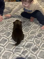 processed/fd75ddf9-2e58-4881-9309-0c3a5947a0b6/listing/f5dbff10-b764-4524-866c-4108d8a4f52c/774d7c1d-4923-421f-8376-b39eff461dd4