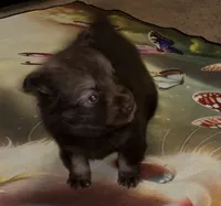 processed/fd75ddf9-2e58-4881-9309-0c3a5947a0b6/listing/f5dbff10-b764-4524-866c-4108d8a4f52c/939a86ce-e5e0-4197-9b4c-f9d8475a5c01