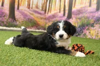 processed/fd85abf3-c6bb-408f-b16c-0b0c1c4f7978/listing/2f5de02c-3793-4e5d-830f-6892b7a7913a/92da268e-a462-4538-ad7f-22527497553d