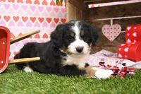 processed/fd85abf3-c6bb-408f-b16c-0b0c1c4f7978/listing/2f5de02c-3793-4e5d-830f-6892b7a7913a/cedbd9f6-8972-4db6-a76b-66adfedcabb7