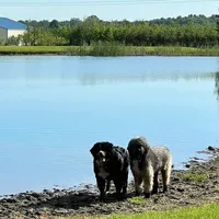 processed/fd8788b2-a687-43d7-b07b-ee9ec777295d/facility/03a635e8-e9c2-44d4-9e01-d00b670f1110