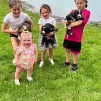 processed/fd8788b2-a687-43d7-b07b-ee9ec777295d/facility/98c21011-e16d-44bf-87eb-afb669800500