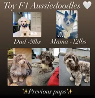 processed/fd8788b2-a687-43d7-b07b-ee9ec777295d/listing/04641f0d-5762-4e0f-8e80-c5367049add6/17287375-fc27-4957-91d8-f8314c8456e2