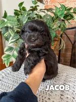 processed/fd8788b2-a687-43d7-b07b-ee9ec777295d/listing/04641f0d-5762-4e0f-8e80-c5367049add6/aa40b24e-c408-4c97-b402-904c9c4fd0cb