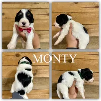 processed/fd8788b2-a687-43d7-b07b-ee9ec777295d/listing/0cec26ff-e754-469b-badc-9bdaf740ecc4/557450ef-cf0f-4232-b8cf-9bbbc35421bb