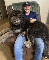 Luka - Standard F1b , a male Saint Berdoodle for sale in Columbia City, IN – Photo 3 of 4