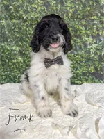 processed/fd8788b2-a687-43d7-b07b-ee9ec777295d/listing/574e6da8-69f0-4e17-87ff-854f9302449a/0330011e-c7b1-4cac-9134-996db54bac94