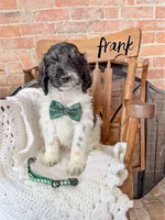 processed/fd8788b2-a687-43d7-b07b-ee9ec777295d/listing/574e6da8-69f0-4e17-87ff-854f9302449a/65dfccb0-6de7-4581-a474-2e3b47827864