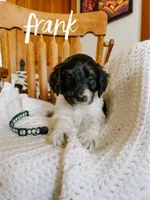 processed/fd8788b2-a687-43d7-b07b-ee9ec777295d/listing/574e6da8-69f0-4e17-87ff-854f9302449a/e445a2de-64df-4993-a54f-bd5d251561ce