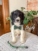 processed/fd8788b2-a687-43d7-b07b-ee9ec777295d/listing/79993161-1b87-4df7-9816-3419b6b3dd58/189066b4-638f-4e8e-a054-4b7149c782a2