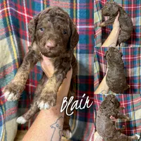 processed/fd8788b2-a687-43d7-b07b-ee9ec777295d/listing/90ebad44-30fd-4e9b-812c-9bf276d60050/2a5bb505-dd6e-406a-9e04-18e19cb2d809