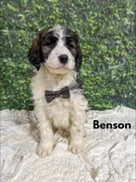 processed/fd8788b2-a687-43d7-b07b-ee9ec777295d/listing/94ec15e3-028a-4dc0-aa61-67e85b334287/9333a463-fa00-4b17-bf34-2143536648bf