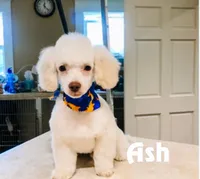 processed/fd8788b2-a687-43d7-b07b-ee9ec777295d/listing/9ff7cc23-7558-4ef0-87b9-c66b91c0985d/c7494c21-d2c6-4a76-8a3f-c74bc4e9ad56