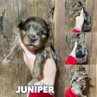 processed/fd8788b2-a687-43d7-b07b-ee9ec777295d/listing/9ff7cc23-7558-4ef0-87b9-c66b91c0985d/e448d55a-a279-4d01-8f82-91ae4410adfb