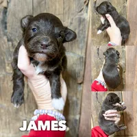 processed/fd8788b2-a687-43d7-b07b-ee9ec777295d/listing/a26d5a26-2f16-4b72-9765-ace105b4ca61/a7d79b2d-f852-4c0b-8239-873720790157