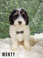 processed/fd8788b2-a687-43d7-b07b-ee9ec777295d/listing/a5fbc816-ea1d-411d-bc79-9c30723c6b59/9822ac16-8e5d-4a90-bcc5-31ee881647b5