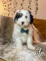 processed/fd8788b2-a687-43d7-b07b-ee9ec777295d/listing/a5fbc816-ea1d-411d-bc79-9c30723c6b59/d249f759-1665-431b-b334-7aa532fdf884