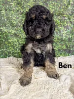 processed/fd8788b2-a687-43d7-b07b-ee9ec777295d/listing/b2042bc1-5b8c-4fba-b0f0-cf454f476adb/c4385bfd-8a6a-47c6-ac0f-a8b2ff198094