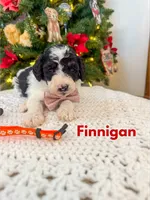 processed/fd8788b2-a687-43d7-b07b-ee9ec777295d/listing/d5f9e67f-5644-4d81-8ede-0be21889ef58/162e867a-e77e-4e43-a1f2-121f9d58161b