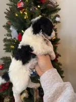 processed/fd8788b2-a687-43d7-b07b-ee9ec777295d/listing/d5f9e67f-5644-4d81-8ede-0be21889ef58/2ed2e516-c765-484a-a595-a6a5eadcd962