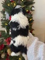 processed/fd8788b2-a687-43d7-b07b-ee9ec777295d/listing/d5f9e67f-5644-4d81-8ede-0be21889ef58/430a241b-8c5d-41ad-84a5-e693d2fbdc5b