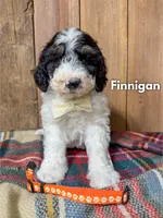 processed/fd8788b2-a687-43d7-b07b-ee9ec777295d/listing/d5f9e67f-5644-4d81-8ede-0be21889ef58/746da00c-2250-4954-aaf5-bc32aa4c1014