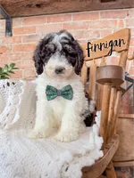 processed/fd8788b2-a687-43d7-b07b-ee9ec777295d/listing/d5f9e67f-5644-4d81-8ede-0be21889ef58/8177f30e-dc11-4a5b-901f-543a47e2bddf