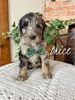 processed/fd8788b2-a687-43d7-b07b-ee9ec777295d/listing/fa42e3d4-855e-4461-9200-8fd173276724/2295cb80-eca1-4218-8b55-40f6dc32eda2