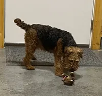 processed/fd8dd151-c9da-4ffb-81e6-88cccfda47cc/listing/5e72ee0c-26de-4949-b824-01bb100aa8fe/1cfb25bd-c3b8-47da-b9c5-9aaf3ccdade6