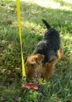 processed/fd8dd151-c9da-4ffb-81e6-88cccfda47cc/listing/5e72ee0c-26de-4949-b824-01bb100aa8fe/43e919d2-4afd-4486-9d9e-75a285988c92